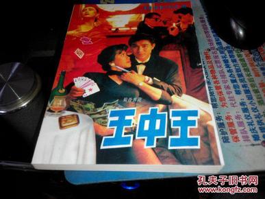 王中王資料一肖中特小說(shuō)，深度解析與探索，王中王資料一肖中特小說(shuō)的深度解析與探索之旅