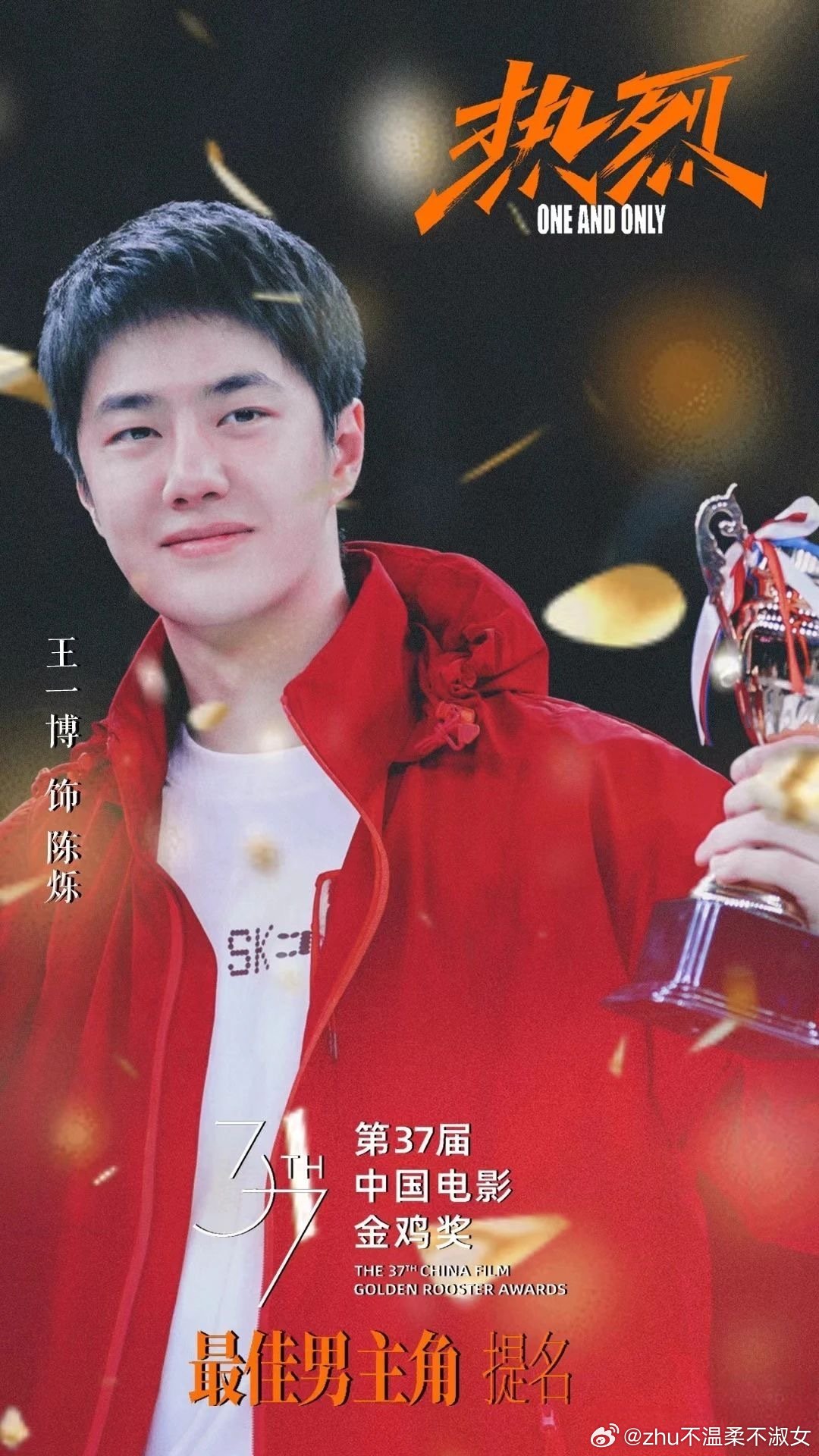 王中王一肖一特一中一中，探尋背后的故事與奧秘，探尋王中王一肖背后的故事與奧秘