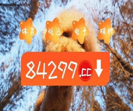 澳門天天開彩好正版掛牌第168期，探索彩票的魅力與策略，澳門彩票探索，魅力與策略揭秘 第168期正版掛牌開彩體驗