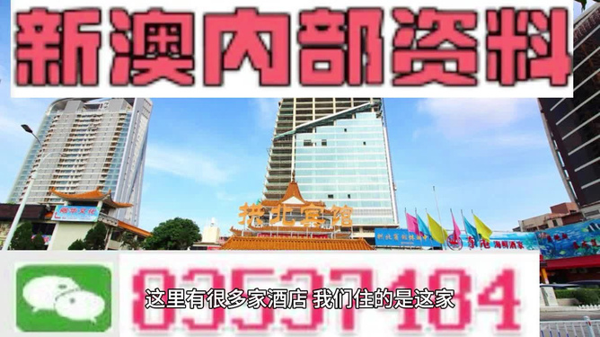 新澳內(nèi)部期期精準(zhǔn)，深度解析與SEO優(yōu)化策略，新澳內(nèi)部期期精準(zhǔn)深度解析與SEO優(yōu)化策略探討