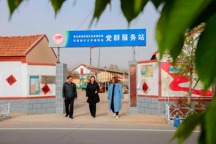 2025新澳天天開彩大全——衣冠群獸探秘，2025新澳天天開彩大全，衣冠群獸探秘之旅