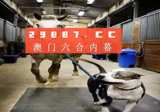 澳門一肖一碼一必中一肖，同舟前進(jìn)的奧秘與策略，澳門一肖一碼必中策略與前進(jìn)奧秘，同舟共濟(jì)的揭秘與策略