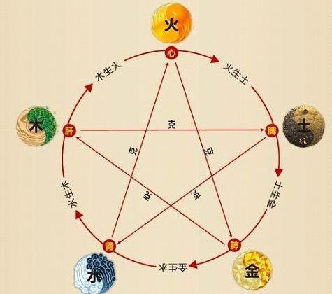 鐵算算盤4887最準資料，揭秘其背后的秘密與優(yōu)勢，揭秘鐵算算盤4887，最準資料背后的秘密與優(yōu)勢