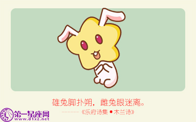揭秘精準(zhǔn)生肖，探尋神奇的數(shù)字組合777778與888888背后的生肖秘密，揭秘生肖秘密，數(shù)字組合777778與888888背后的生肖傳奇