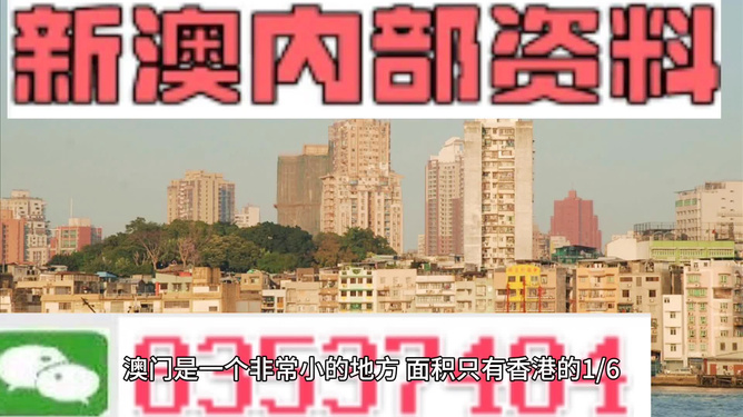 澳門精準(zhǔn)資料大全免費(fèi)，探索與解析，澳門精準(zhǔn)資料大全免費(fèi)解析探索