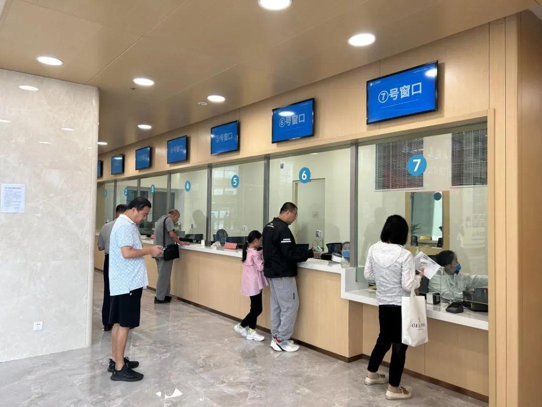 新門內部資料免費獲取——探索與揭秘，新門內部資料大揭秘，免費獲取探索之旅