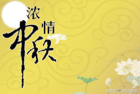 天天開(kāi)好彩免費(fèi)資料大全——你不可錯(cuò)過(guò)的幸運(yùn)之門，天天開(kāi)好彩免費(fèi)資料大全——開(kāi)啟幸運(yùn)之門的必備指南