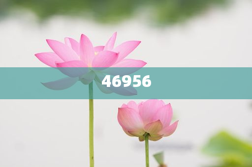 新奧集團，邁向2025，天天開好彩的愿景與挑戰(zhàn)，新奧集團邁向2025，實現(xiàn)天天開好彩的愿景與挑戰(zhàn)