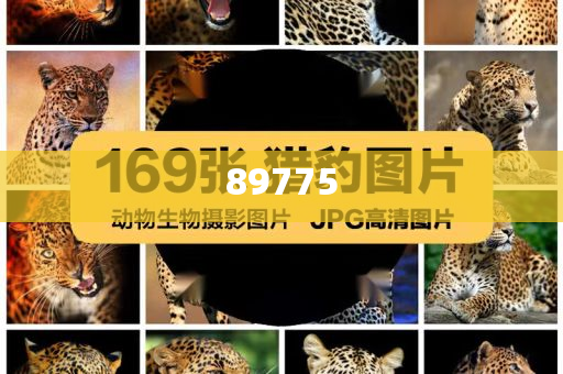 關(guān)于新奧歷史開(kāi)獎(jiǎng)記錄的最新信息，今天公布了嗎？，新奧歷史開(kāi)獎(jiǎng)記錄最新信息公布了嗎？