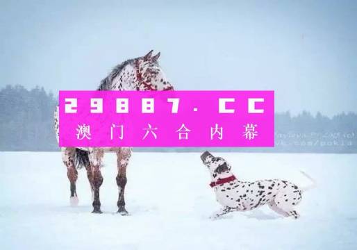 澳門一肖一碼狀元紅，揭秘彩票背后的秘密與策略，澳門彩票揭秘，狀元紅背后的秘密與策略解析