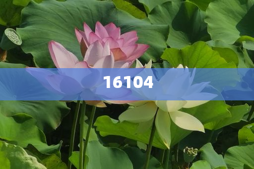 新奧600圖庫2025，探索與前瞻，新奧600圖庫2025，深度探索與未來展望