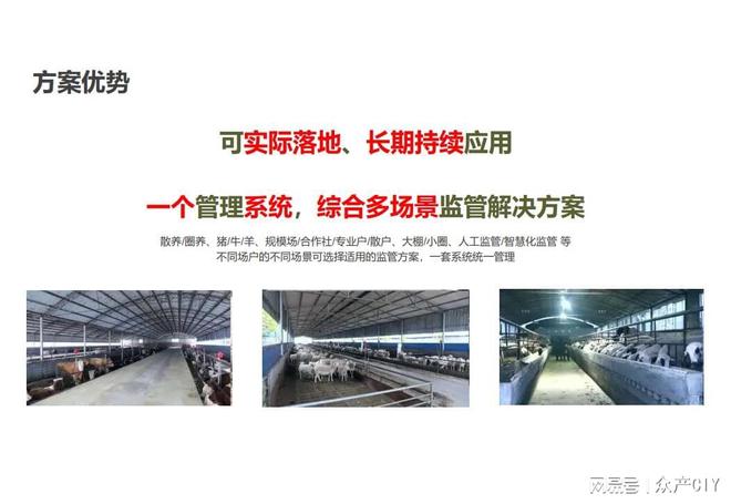探索新澳芳草地，正版資料的免押之旅（2025年最新資訊），探索新澳芳草地，正版資料免押之旅（最新資訊）