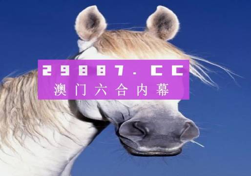 澳門今晚一肖一碼，探索與預(yù)測，澳門今晚一肖一碼，探索幸運與預(yù)測之謎
