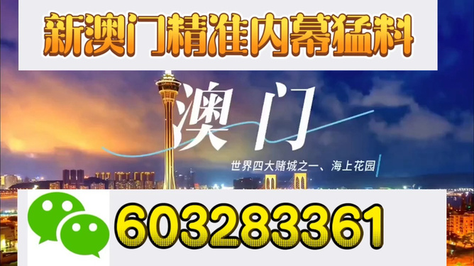 新澳門今晚開獎結(jié)果揭曉，探索彩票背后的秘密與期待，新澳門今晚開獎結(jié)果揭曉，彩票背后的秘密與期待揭曉之夜
