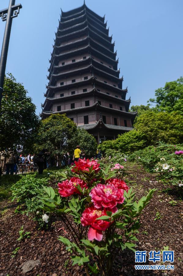 六和彩開碼資料網(wǎng)——探索彩票世界的門戶，六和彩開碼資料網(wǎng)，彩票世界探索之門