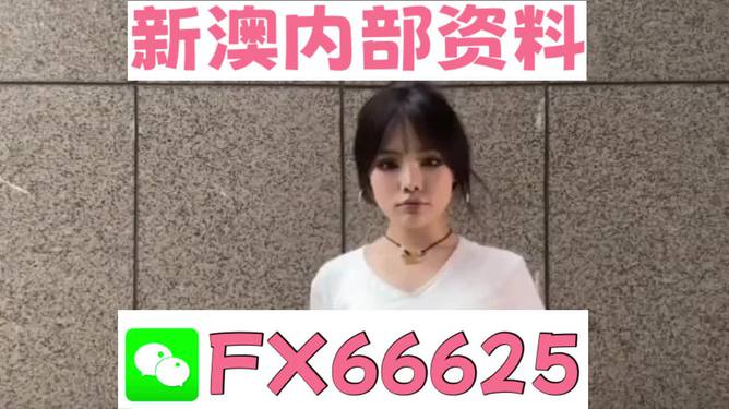 澳門資料大全正版資料查詢，探索澳門的文化與歷史深度之旅，澳門文化與歷史深度探索，正版資料大全及查詢指南