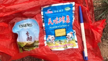 澳門最精準龍門，探索真實的精準之道，澳門最精準龍門，揭秘真實精準之道