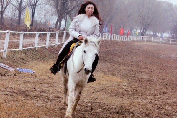 新奧最精準(zhǔn)免費大全，全方位解析與實用指南，新奧最精準(zhǔn)免費大全，全方位解析與實用指南手冊
