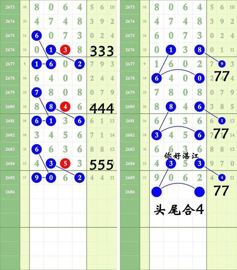 一肖三碼王中王絕密，揭秘背后的秘密與策略，揭秘一肖三碼王中王絕密策略與背后秘密