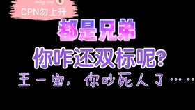 一肖二肖是什么意思——深度解析中國(guó)民俗中的生肖文化，深度解析中國(guó)民俗中的生肖文化，一肖二肖的含義與故事
