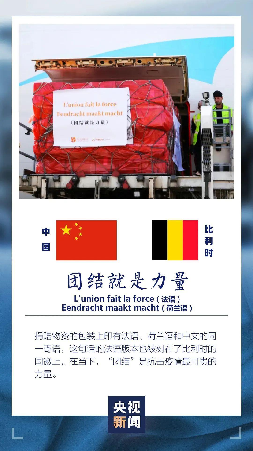 王中王資米斗一肖中持，深度解析與SEO優(yōu)化策略，王中王資米斗一肖中持深度解析與SEO優(yōu)化策略探討