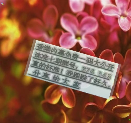揭秘兩肖必中一肖王中王的秘密策略，揭秘兩肖必中一肖王中王的秘密策略，揭秘生肖彩票的必勝法則！