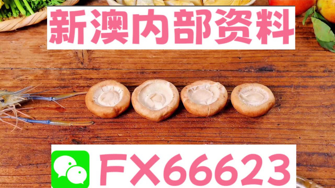 新澳正版資料免費提供，全面解析與深度探索，新澳正版資料全面解析與深度探索，免費提供的指南
