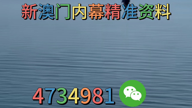 澳門一碼精準(zhǔn)