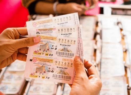 香港平特一肖王中王高手的秘密策略與技巧探索，香港平特高手探索，一肖王中王策略與技巧揭秘