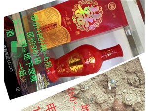 王中王一肖論一壇，深度探討與SEO優(yōu)化策略，王中王一肖論壇，深度探討與SEO優(yōu)化策略分享